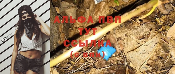 хмурый Бородино