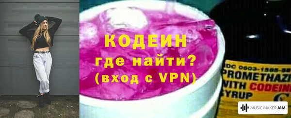хмурый Бородино