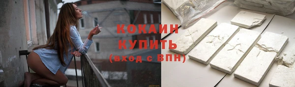 хмурый Бородино