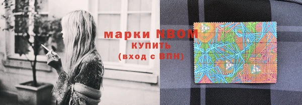 хмурый Бородино