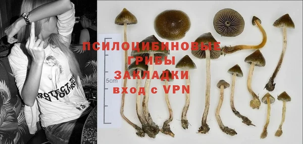 мяу мяу мука Бугульма