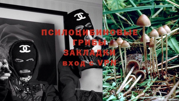мяу мяу мука Бугульма
