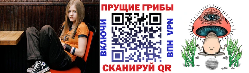 Галлюциногенные грибы Magic Shrooms Купить где Заволжье